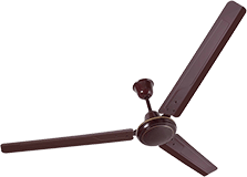 Ceiling Fans